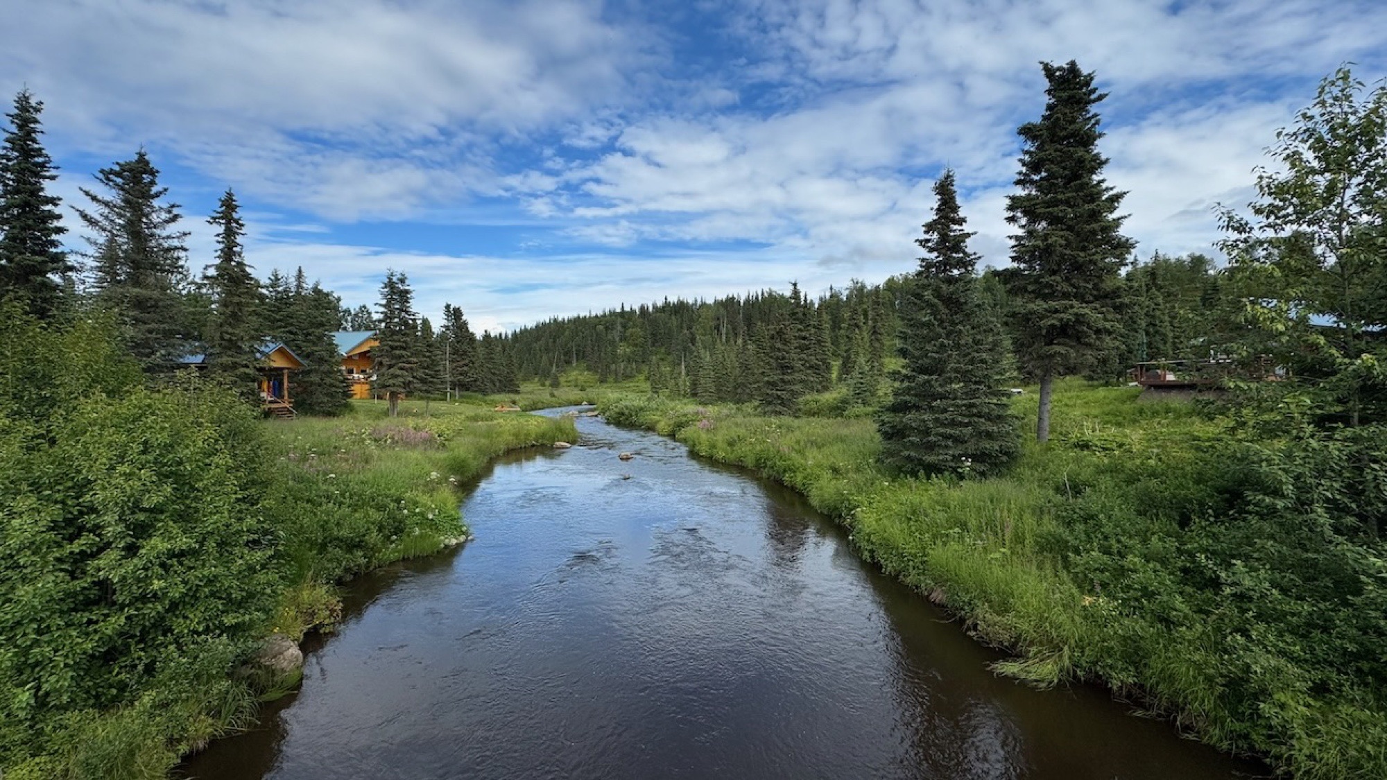 The Ninilchik River winding through the property — lodge tucked into spruce on the left, river deck on the right