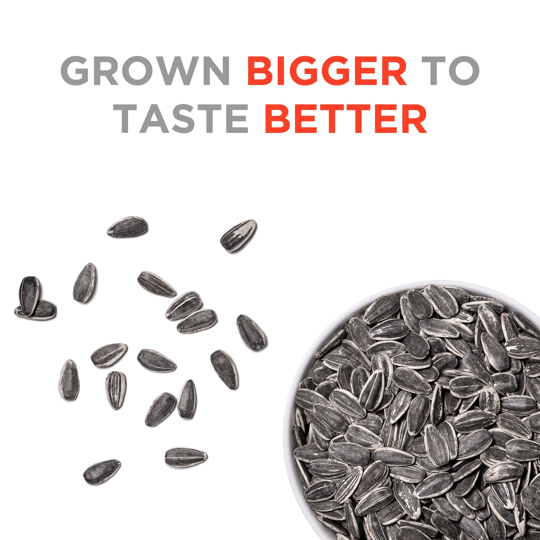 Jumbo Sunflower Seeds brand photography