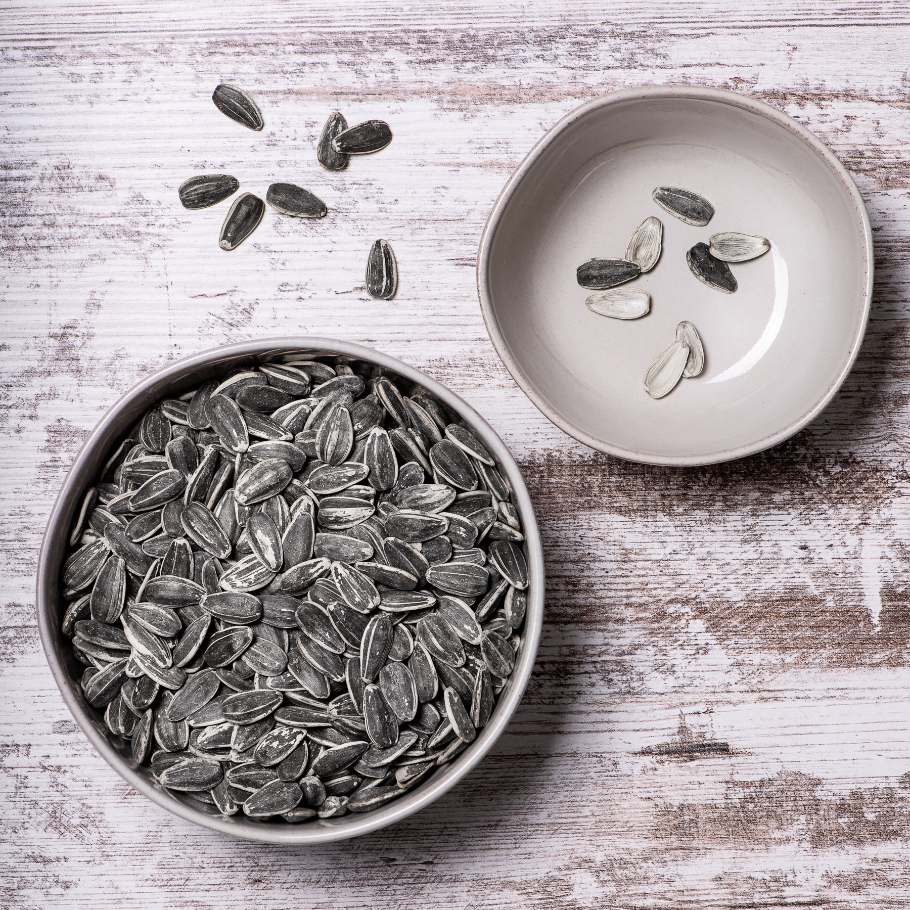 Jumbo Sunflower Seeds — 2025 brand photography
