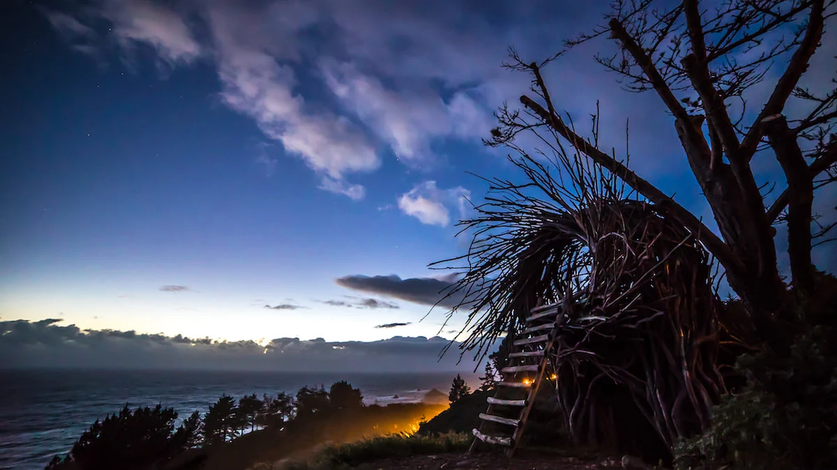 The Nest at Treebones Resort